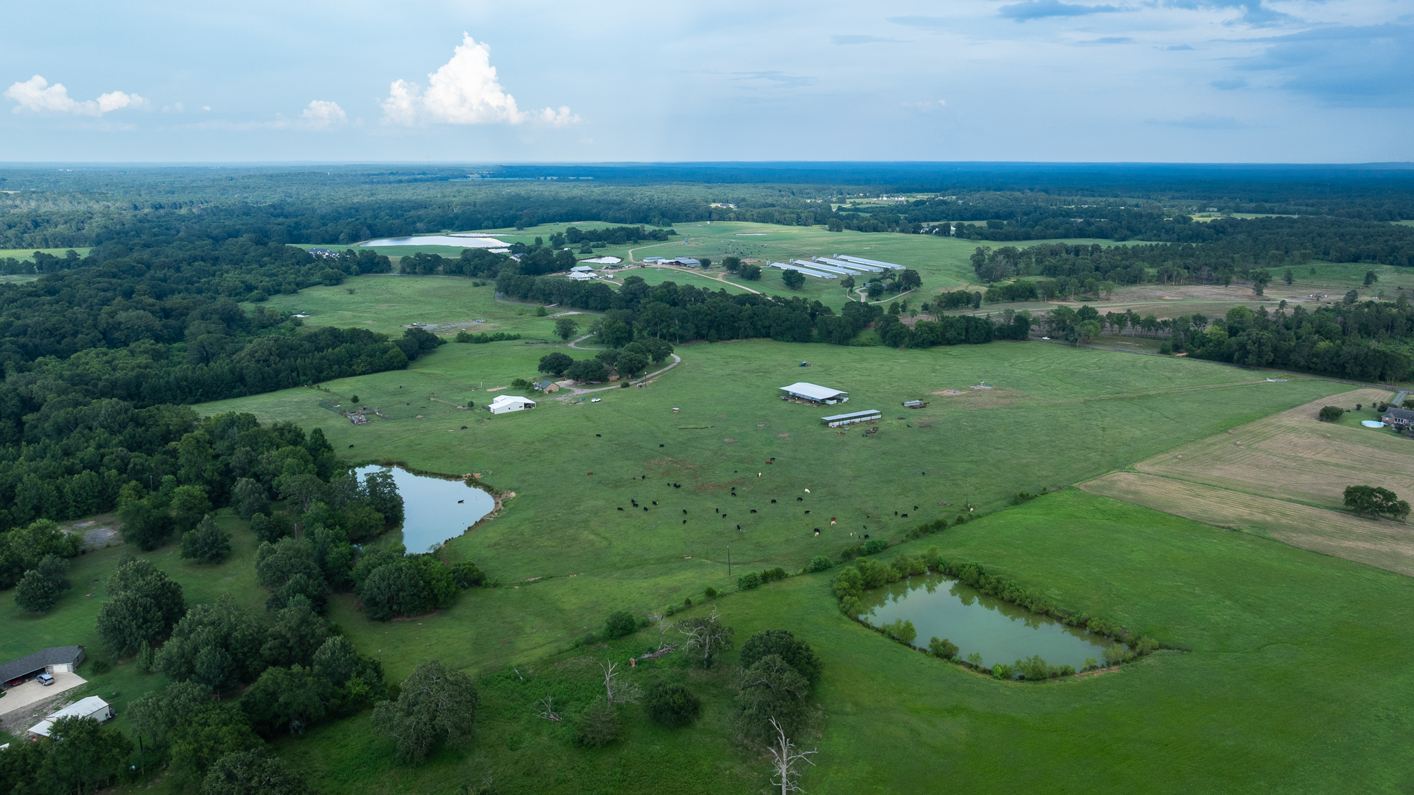 East Texas Ranch Property with Hunting & Fishing Carthage TX