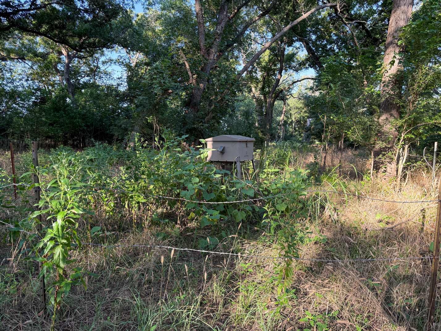 23.866 Acres of Riverfront Land for Sale in Coryell County, Texas