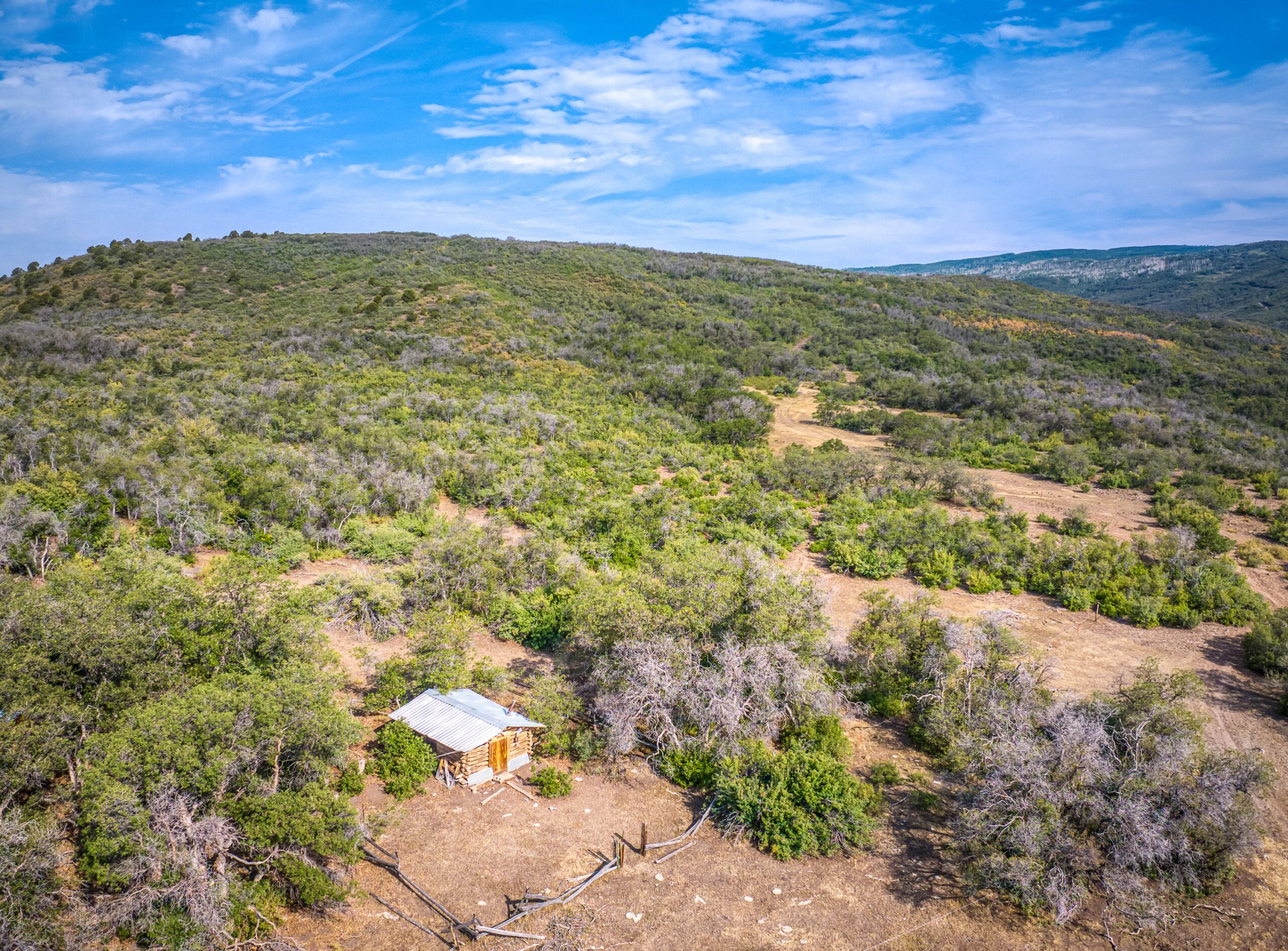 Whiskey Jug Ranch 465 Acre CO Hunting And Recreation Property With Cabin