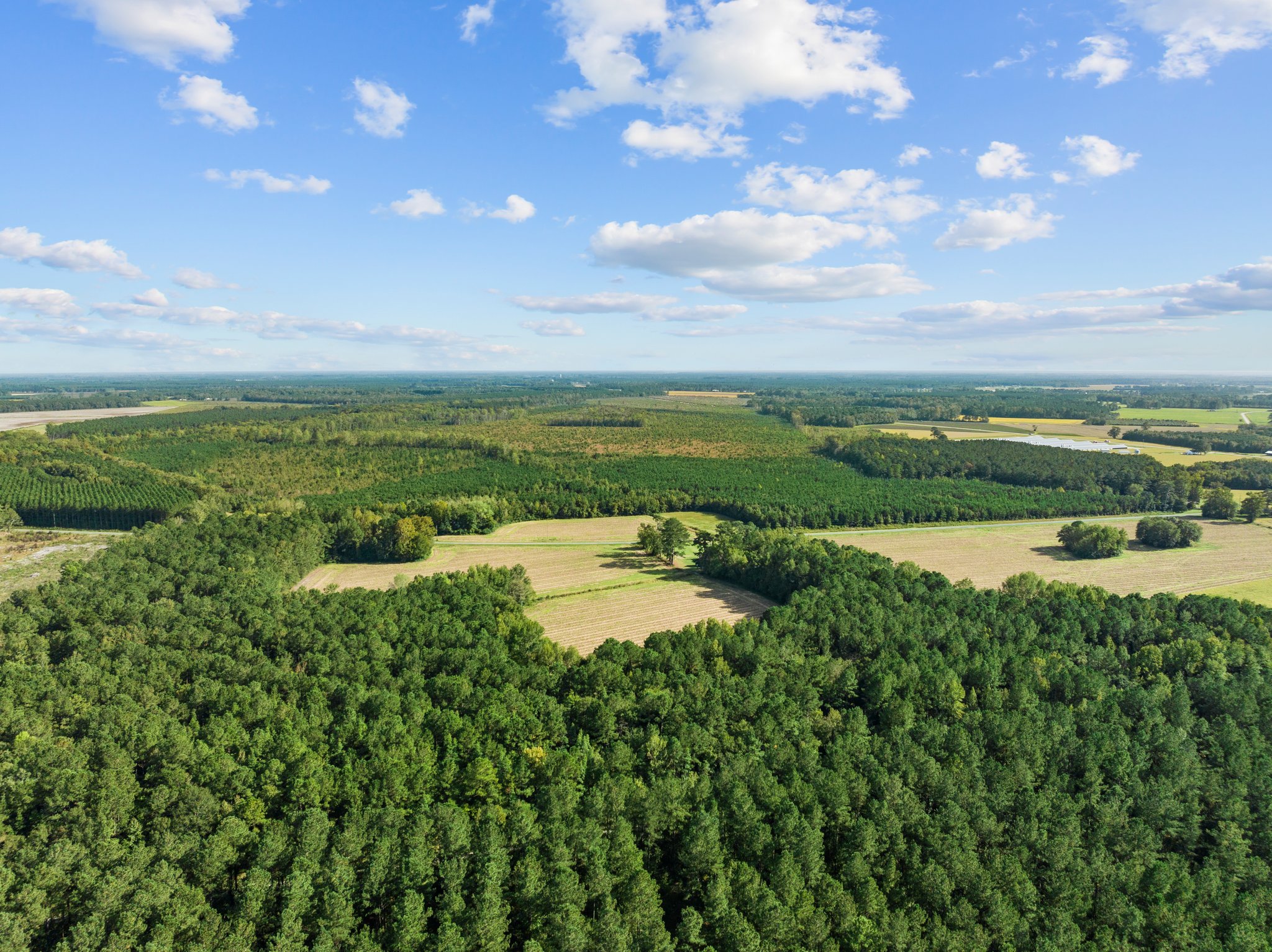 470-AC Prime Hunting Land for Sale in Pitt County, NC