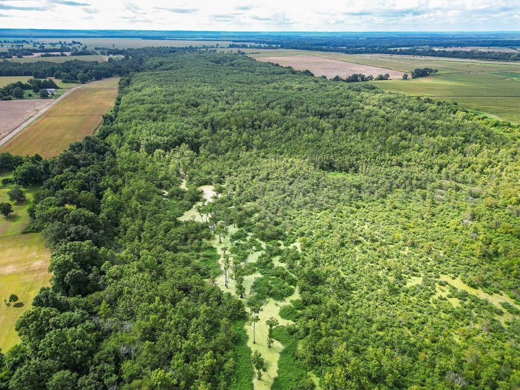 Tchula MS Delta 97 Acres