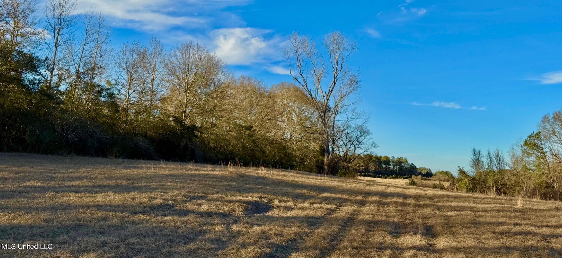 Mississippi Land for Sale Near Osyka MS & LA State Line