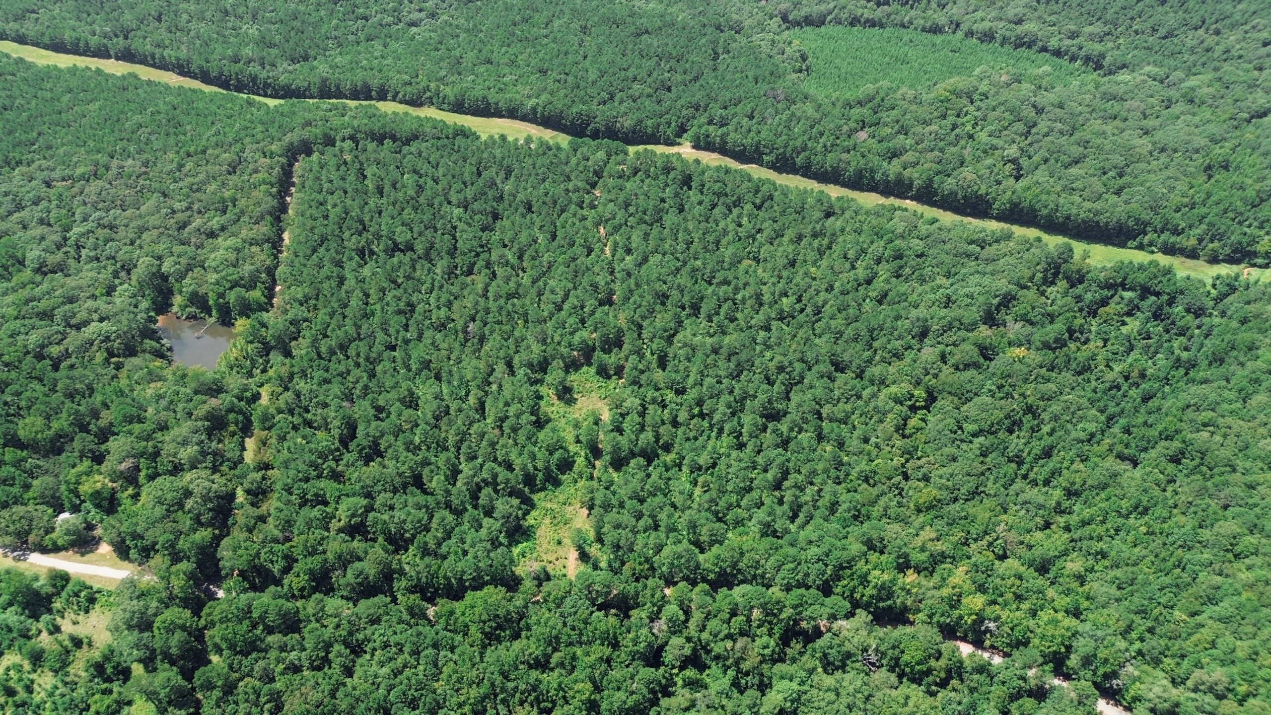 Lincoln Parish Timberland for Sale