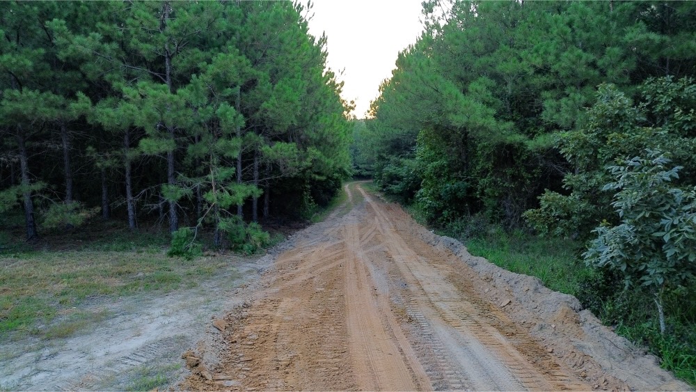 Claiborne Parish Timberland for Sale