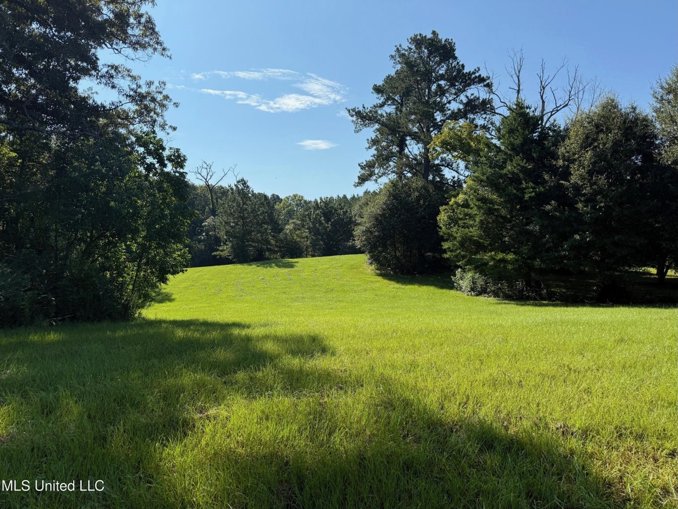 40 Acres with Country Home for Sale in Pike County MS