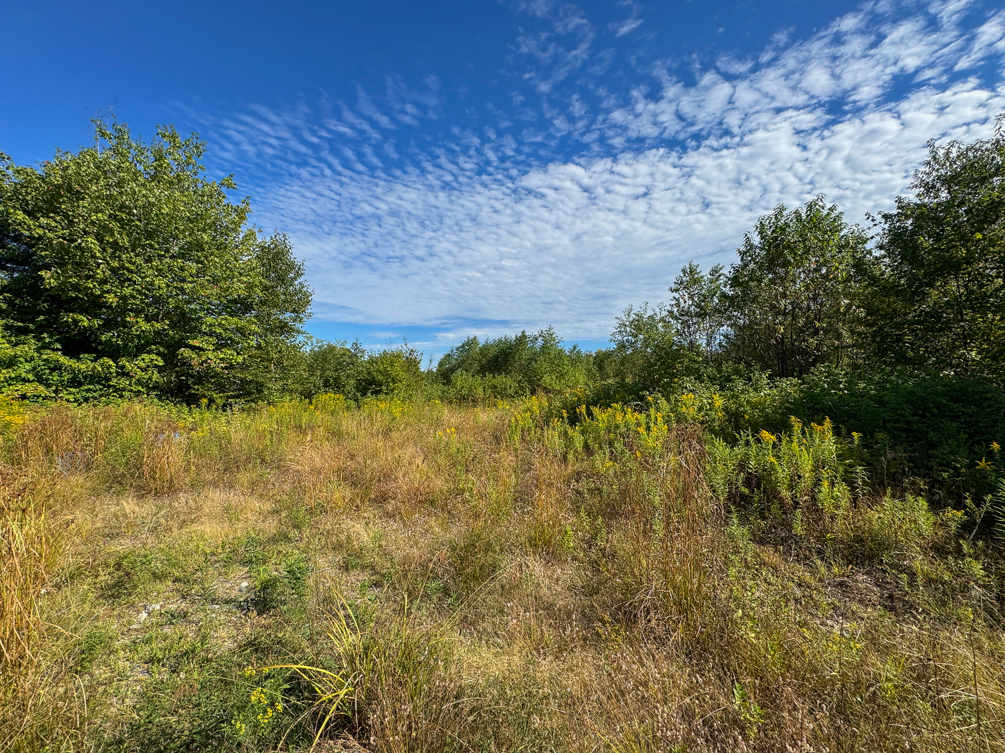 516 Acres Bordering State Wildlife Management Area