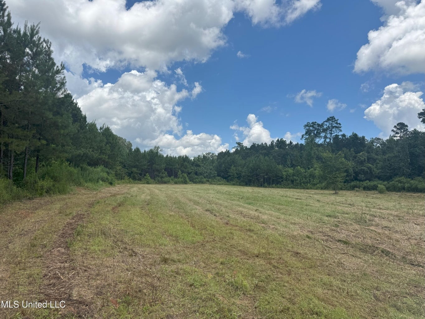 148 Acre Timberland Hunting Homesite Lincoln County, MS