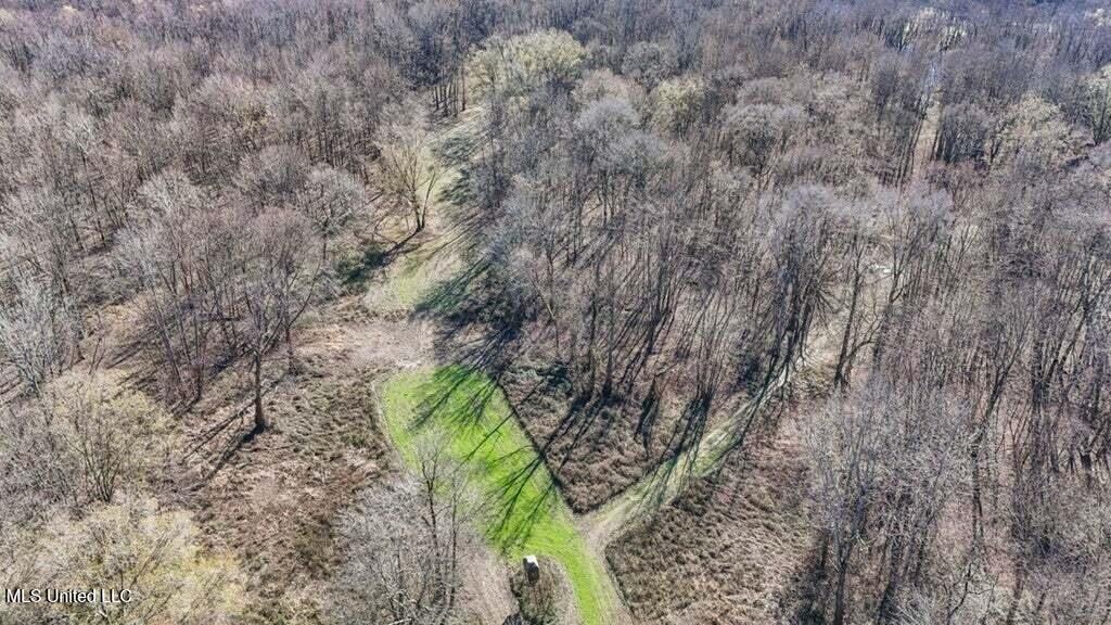 Final Flyway – Jefferson County MS Duck Hunting Land