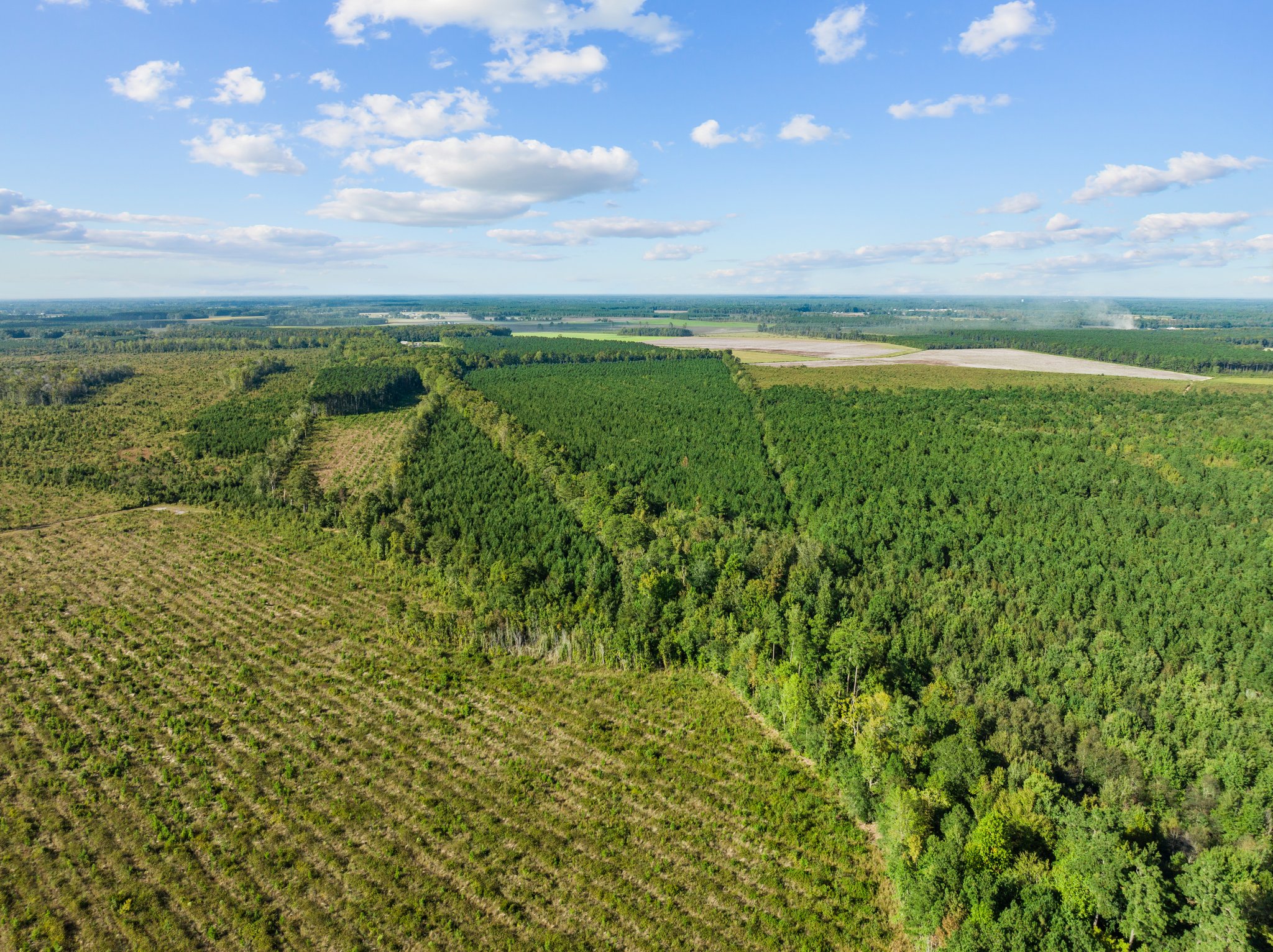 470-AC Prime Hunting Land for Sale in Pitt County, NC