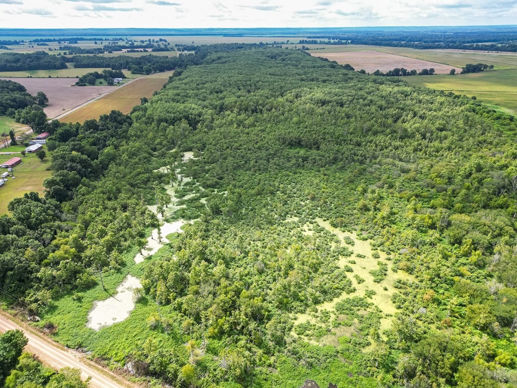 Tchula MS Delta 97 Acres