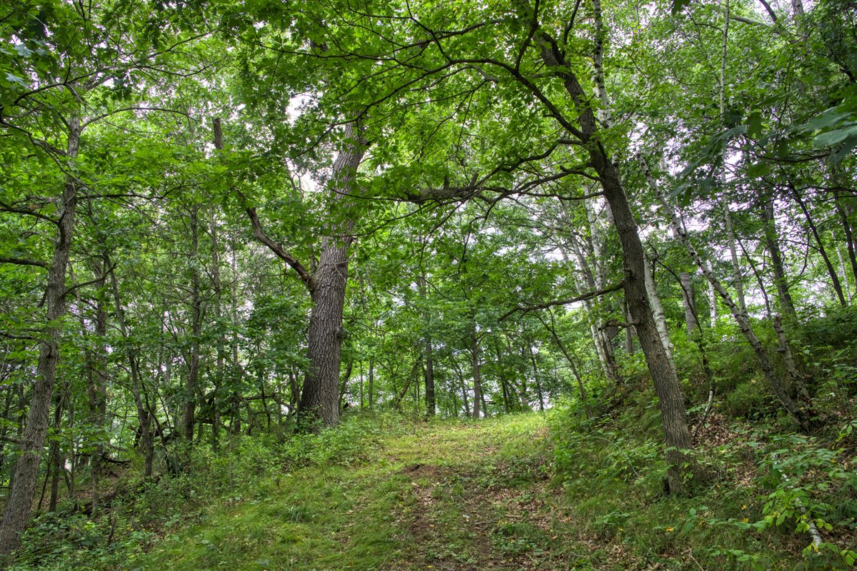 Hunting Property in Trempealeau County, WI