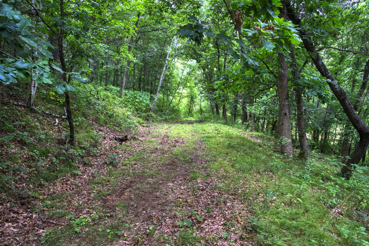 Hunting Property in Trempealeau County, WI