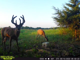 The Perfect 160 in Franklin County Kansas