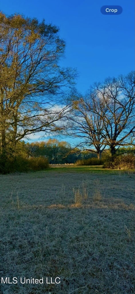 Mississippi Land for Sale Near Osyka MS & LA State Line