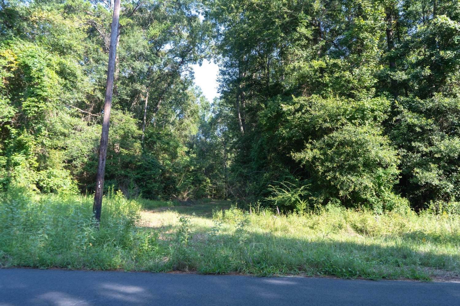 Affordable Multi-Use Recreational Tract