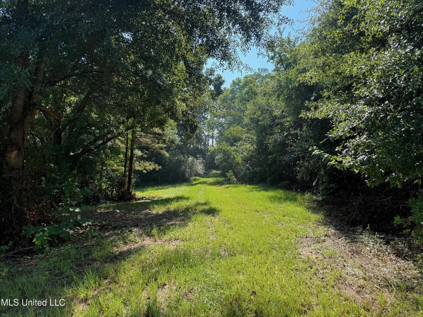 40 Acres with Country Home for Sale in Pike County MS