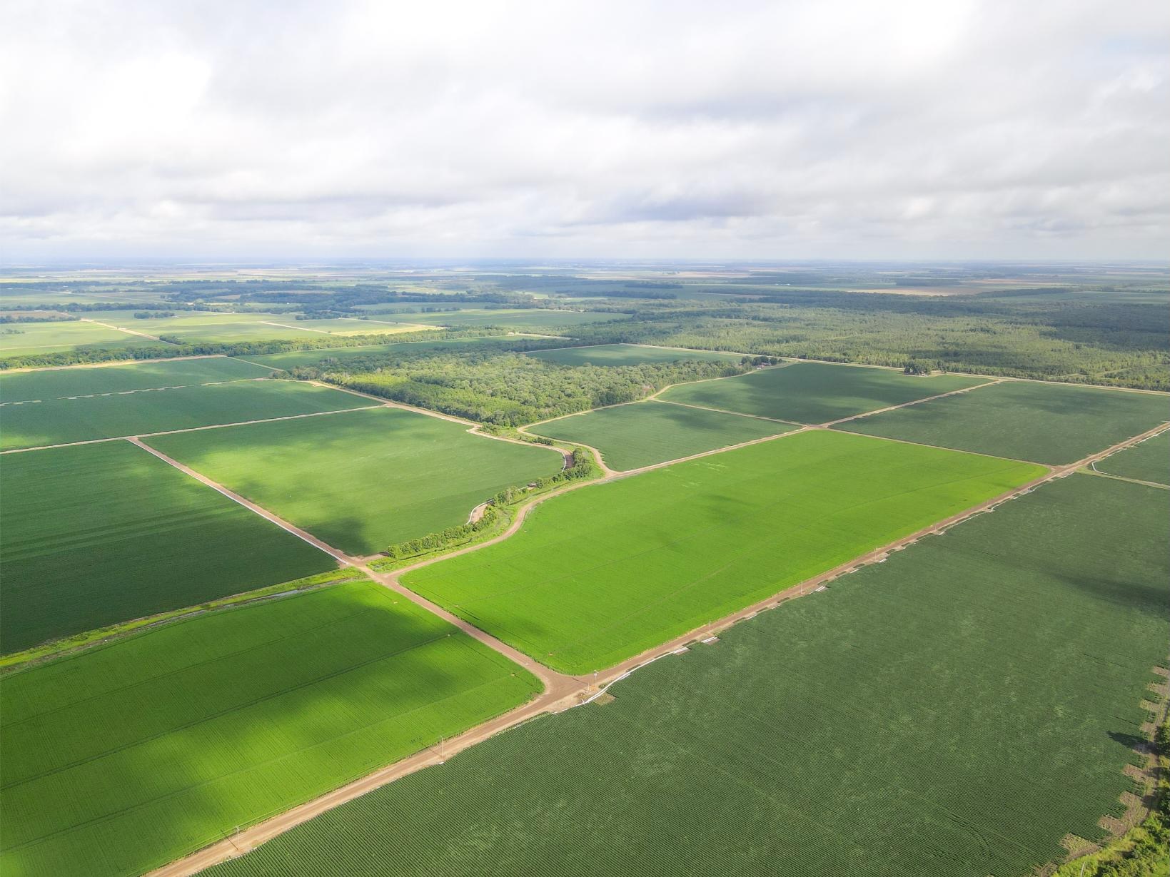 500 +/- Acres Precision Leveled and Irrigated Farmland