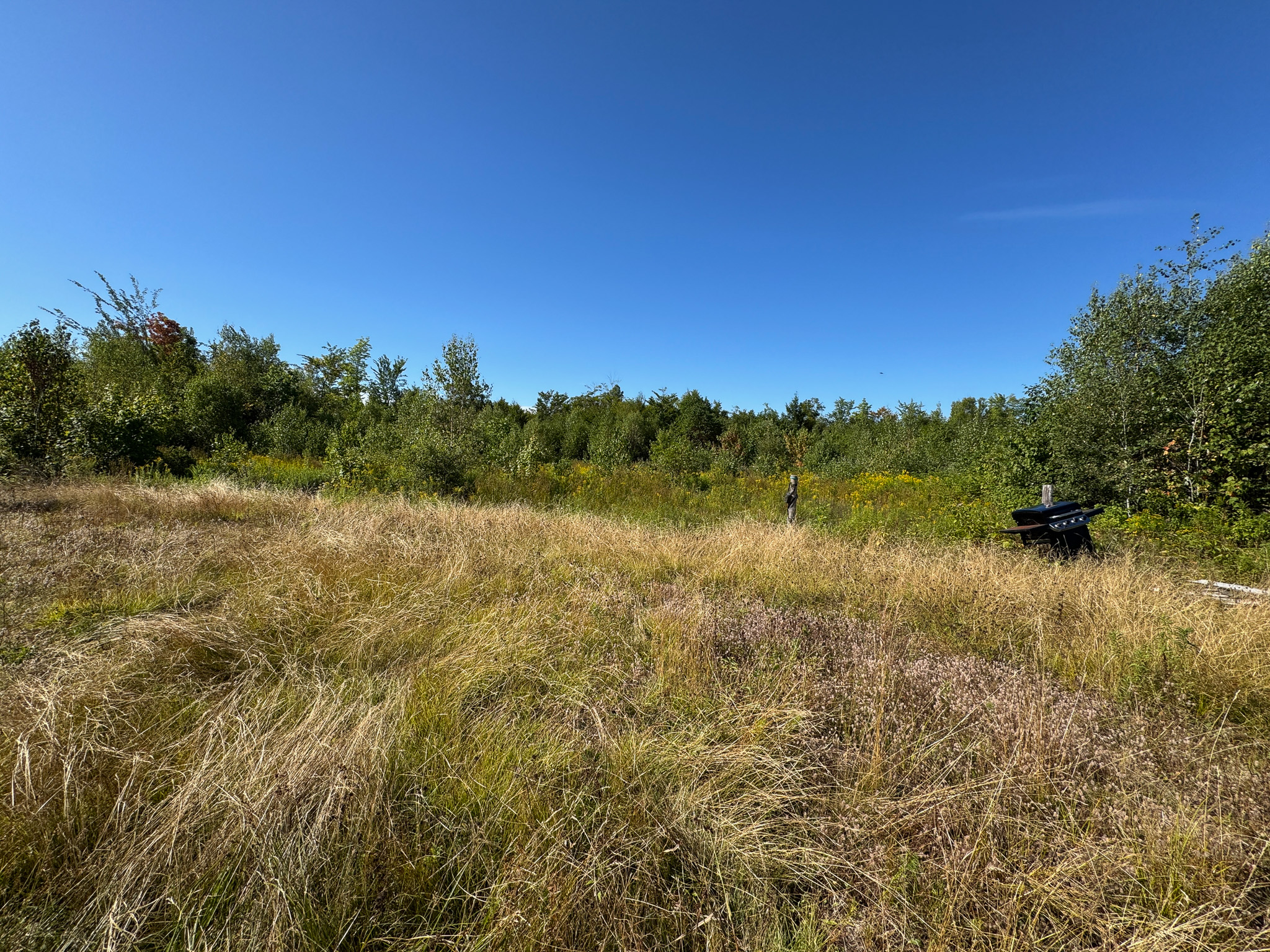 516 Acres Bordering State Wildlife Management Area