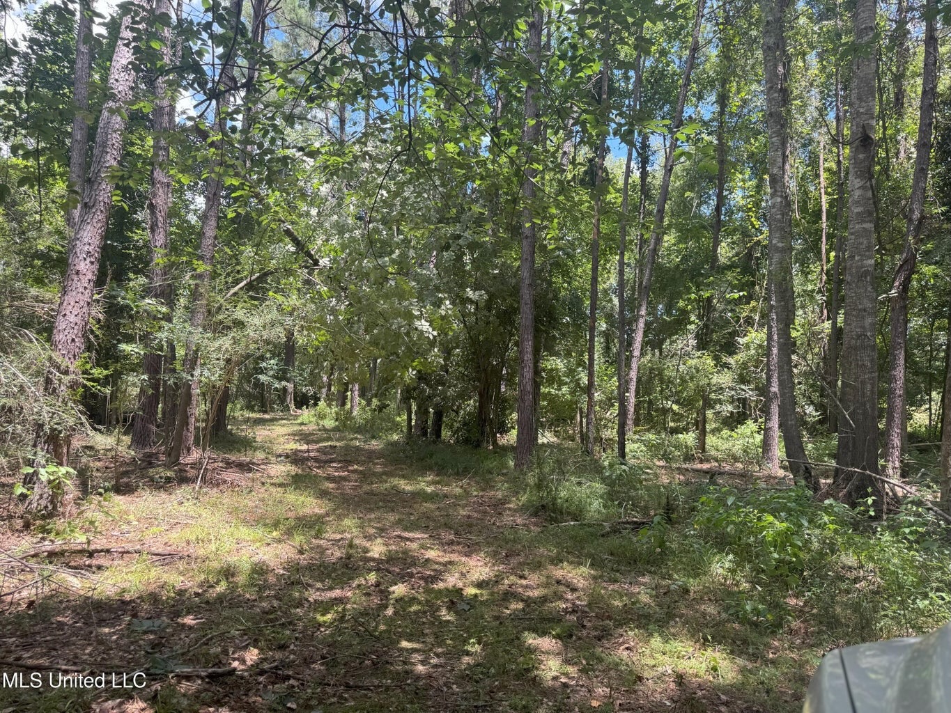 148 Acre Timberland Hunting Homesite Lincoln County, MS