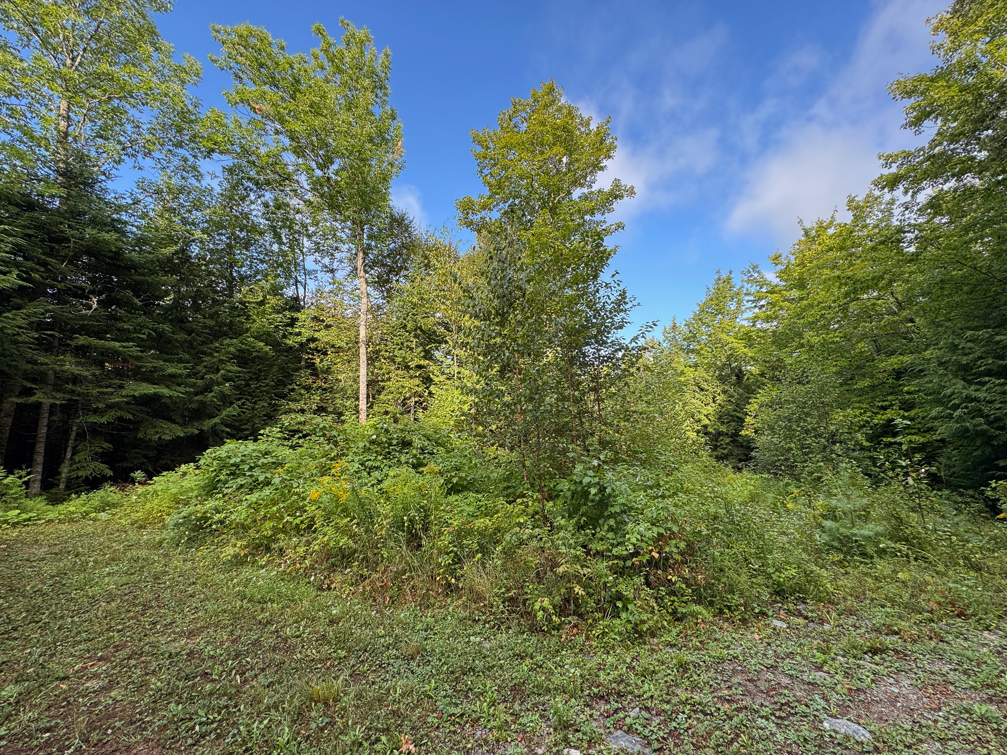 20 Acres with Katahdin Views – Springfield, Maine
