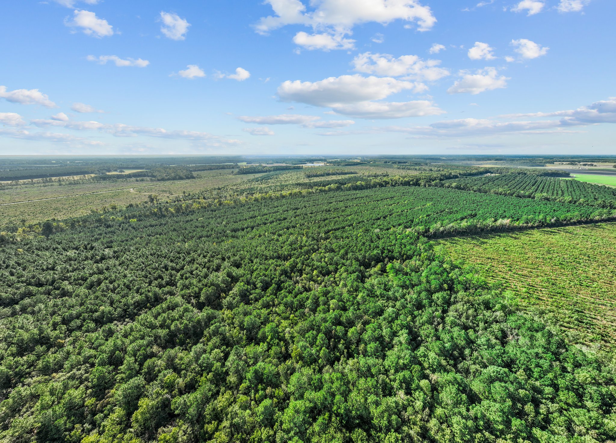 470-AC Prime Hunting Land for Sale in Pitt County, NC