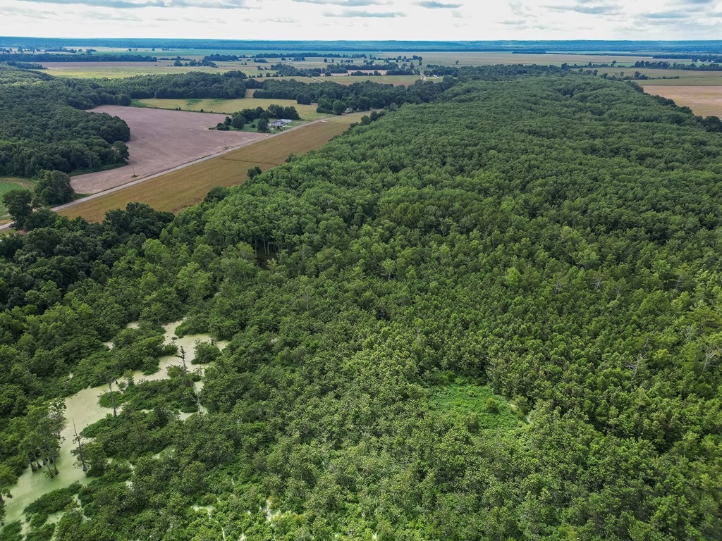 Tchula MS Delta 97 Acres