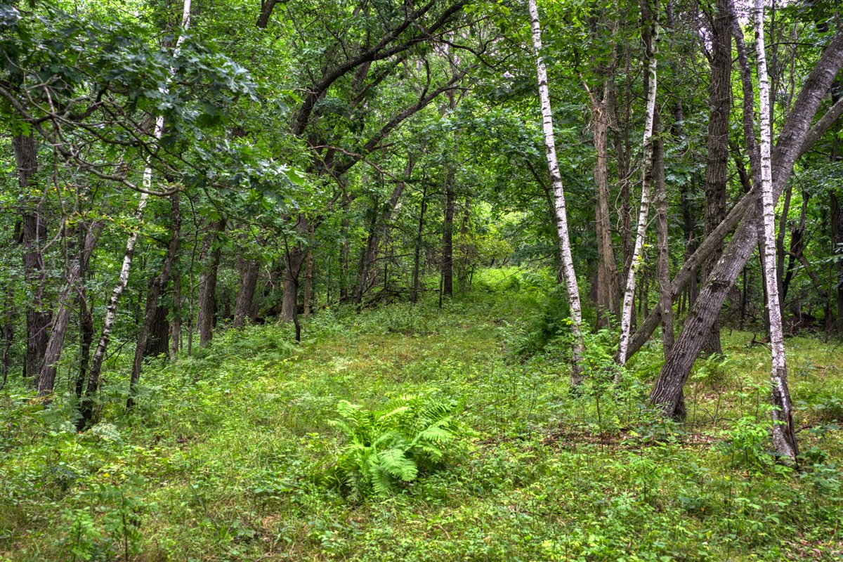 Hunting Property in Trempealeau County, WI