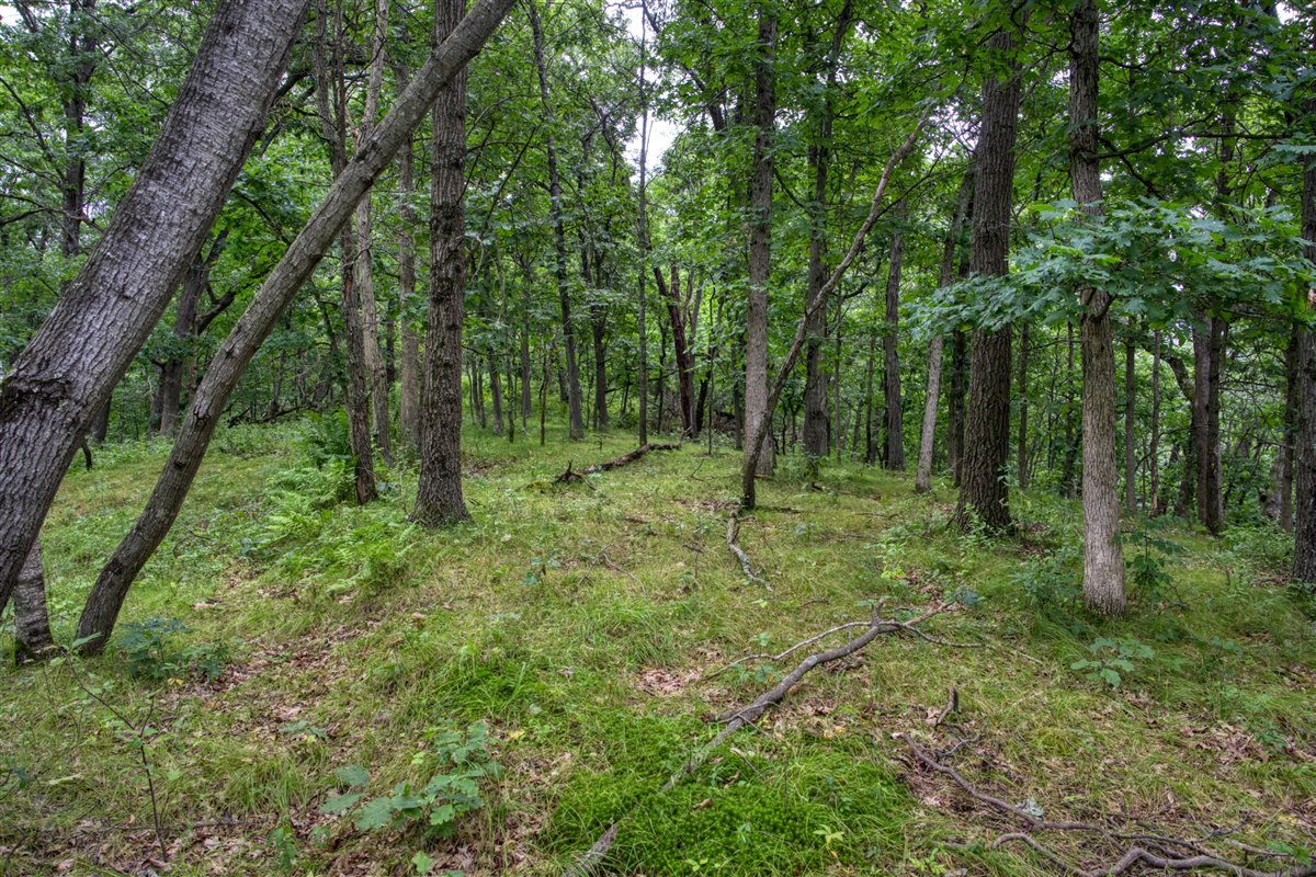 Hunting Property in Trempealeau County, WI