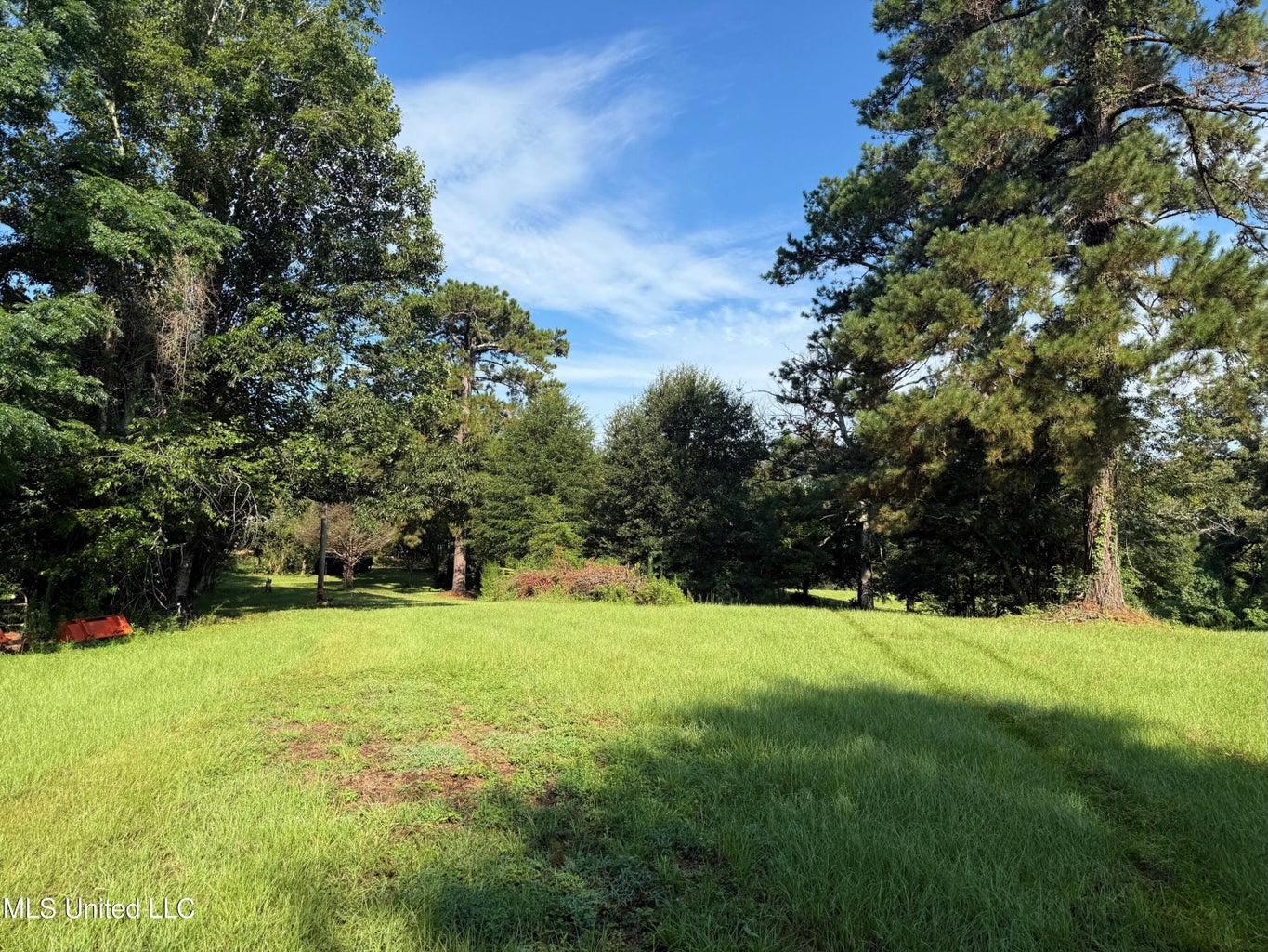40 Acres with Country Home for Sale in Pike County MS