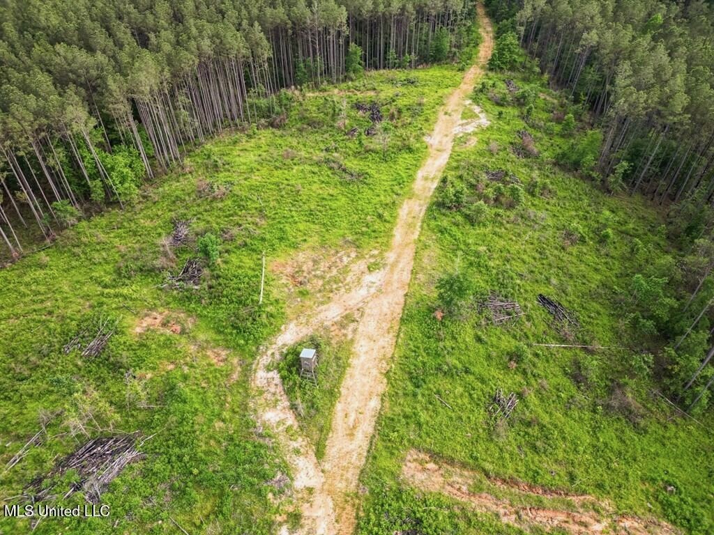 Catahoula Parish 290 Acres Hunting and Income Property