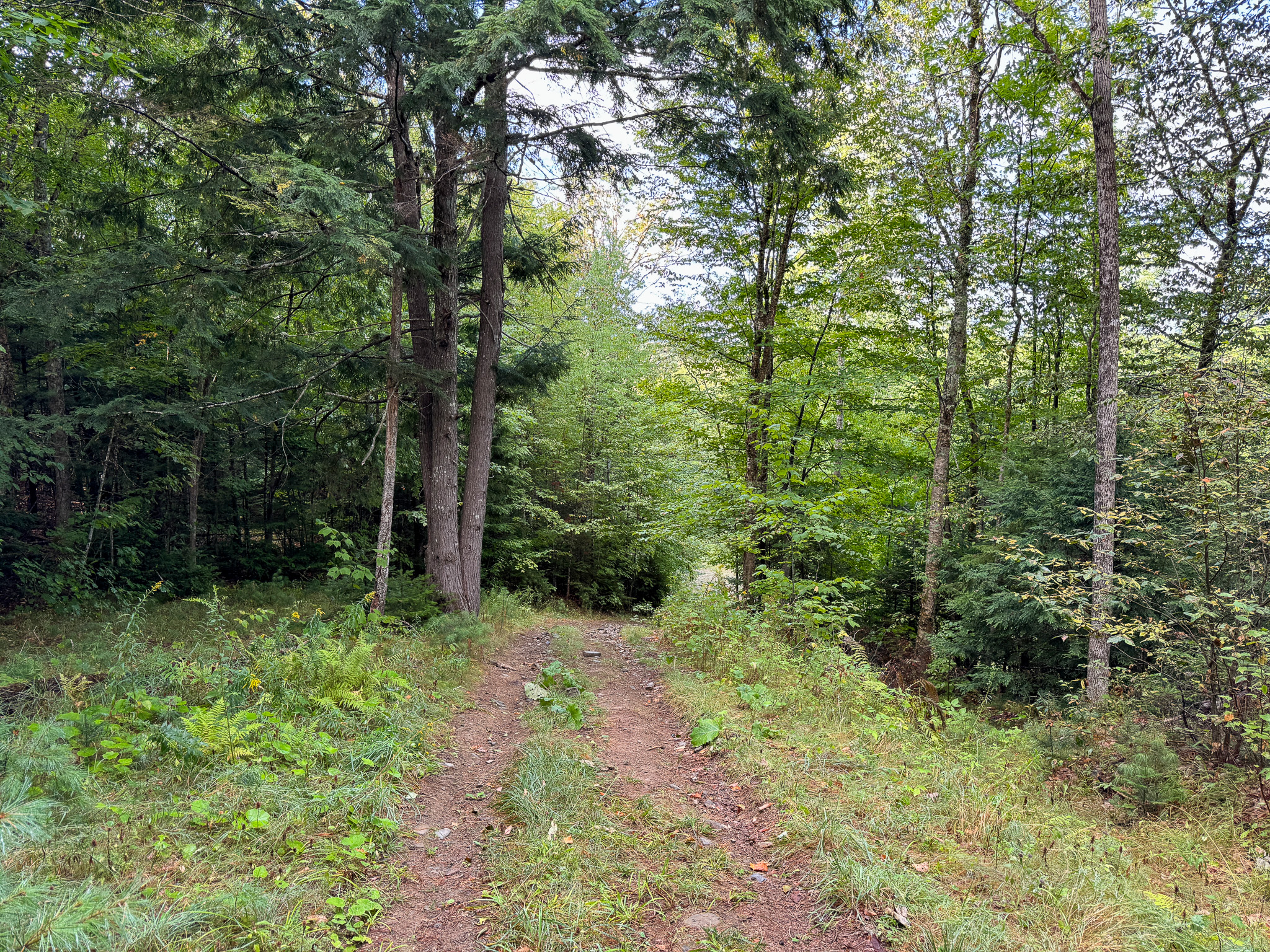 20 Acres with Katahdin Views – Springfield, Maine