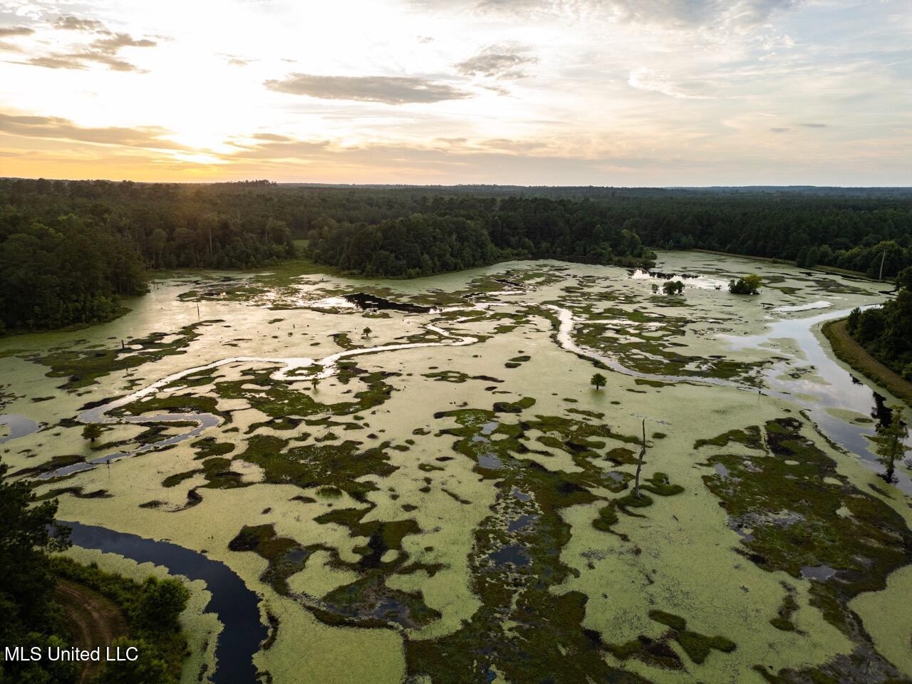 Petit Amite – Luxury Hunting Retreat in Amite County, MS
