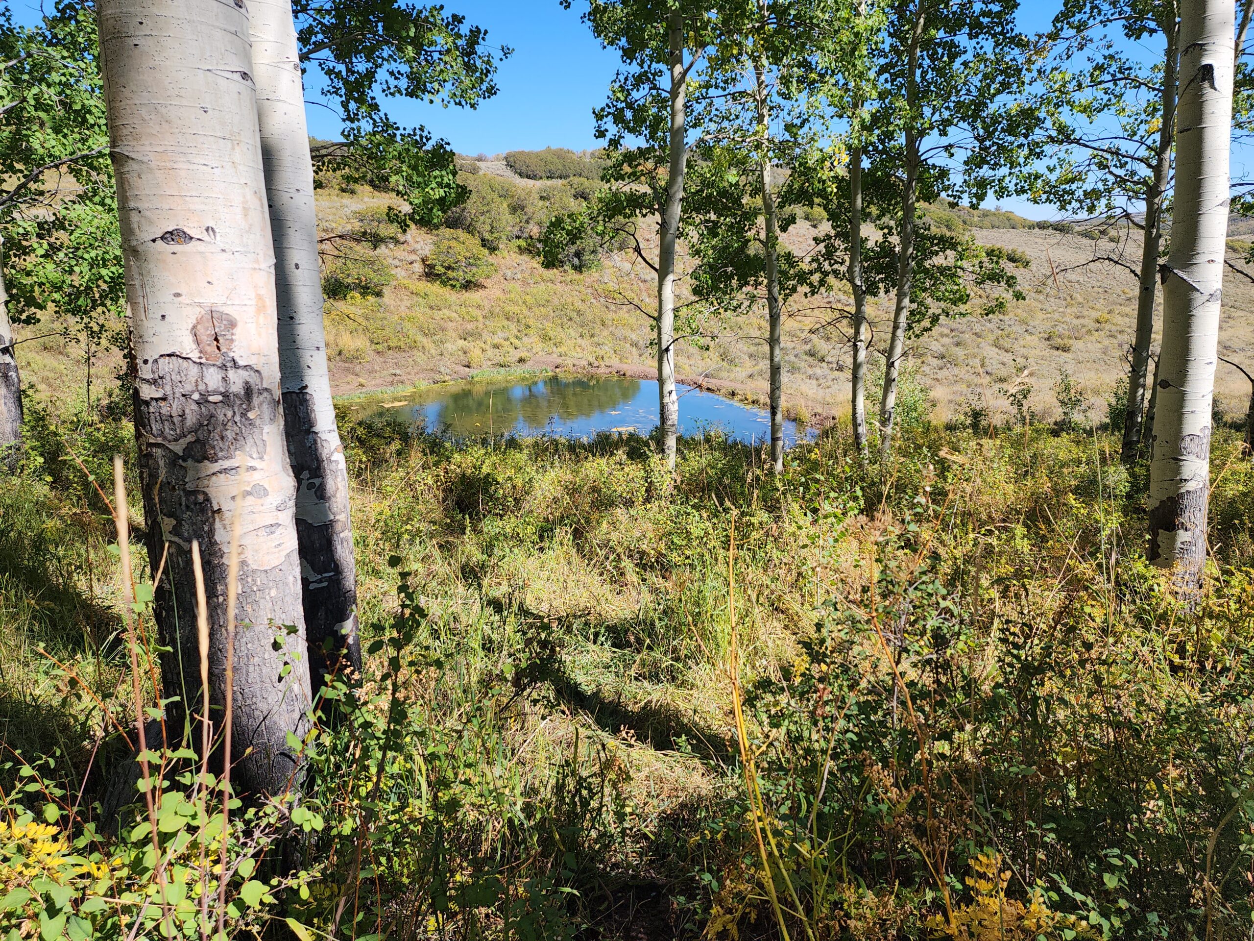 Western Colorado Ranch with Cabins, Ponds, Springs For Sale