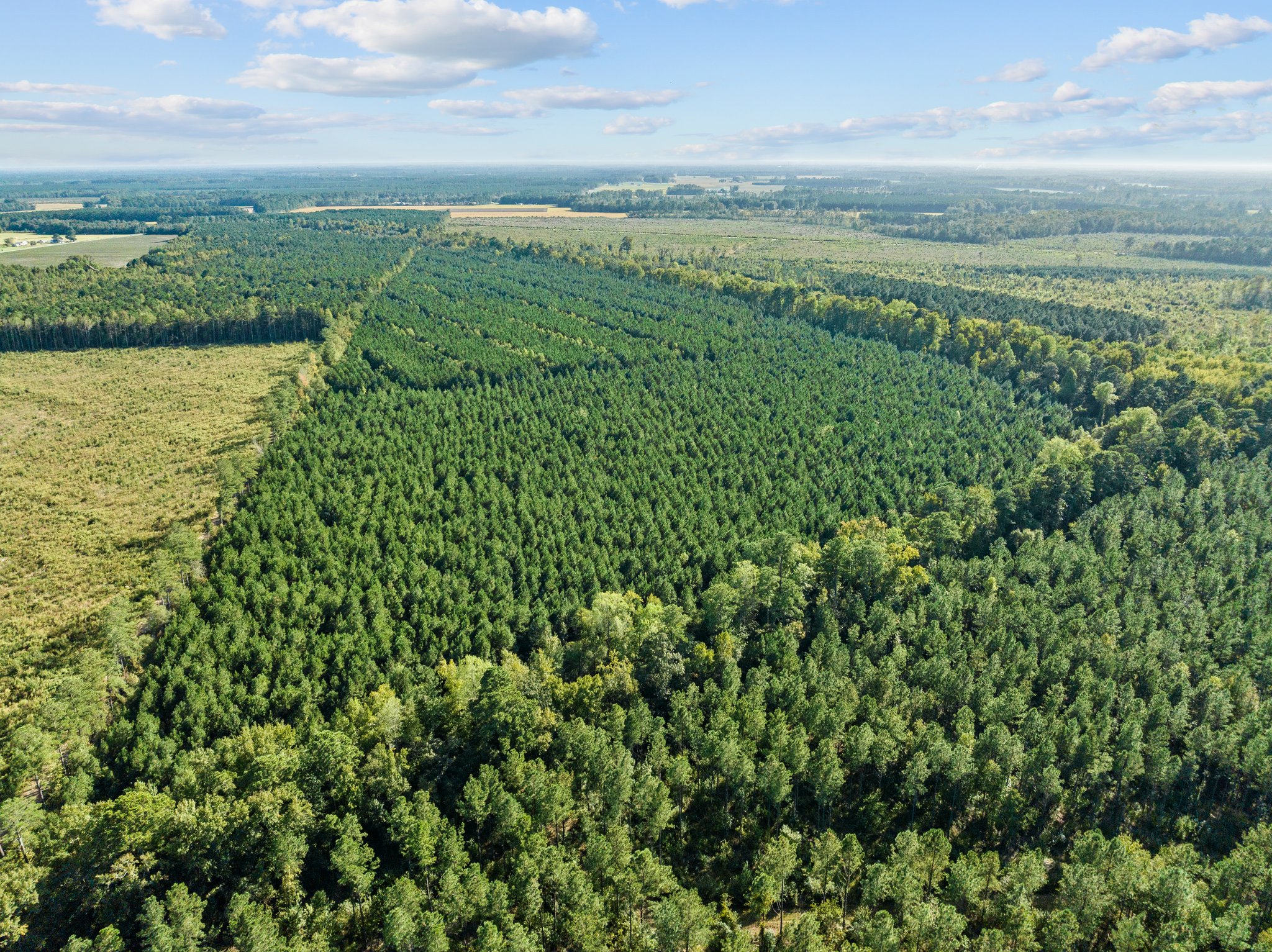 470-AC Prime Hunting Land for Sale in Pitt County, NC