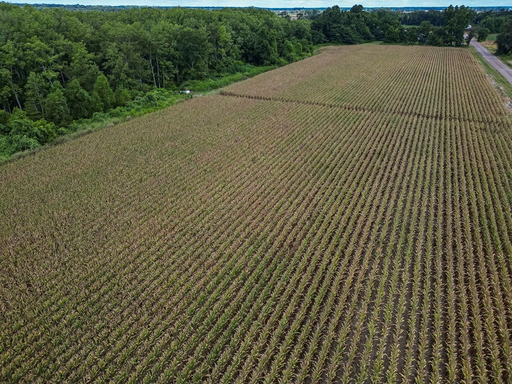 Tchula MS Delta 97 Acres