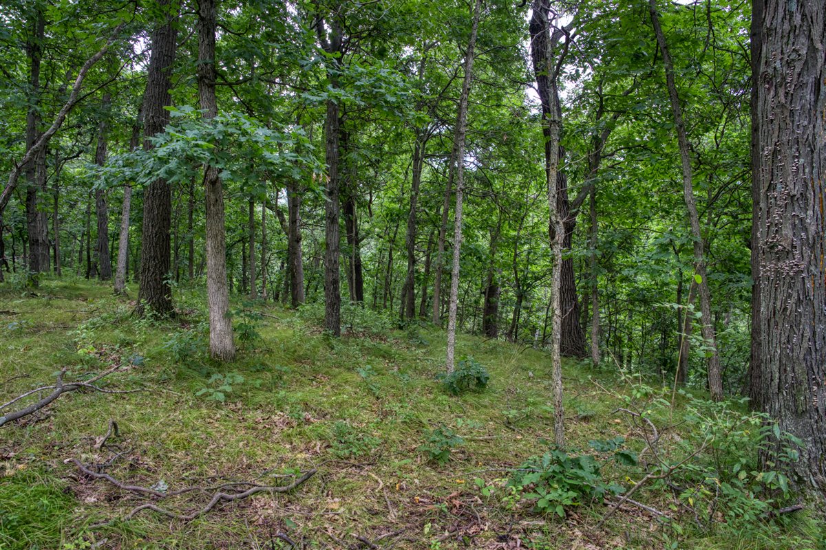 Hunting Property in Trempealeau County, WI