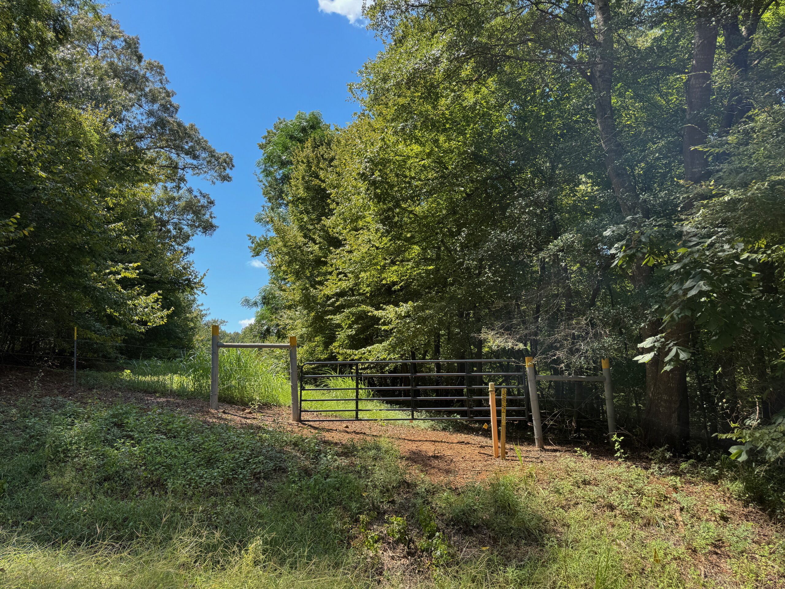 Lincoln Parish Timberland for Sale