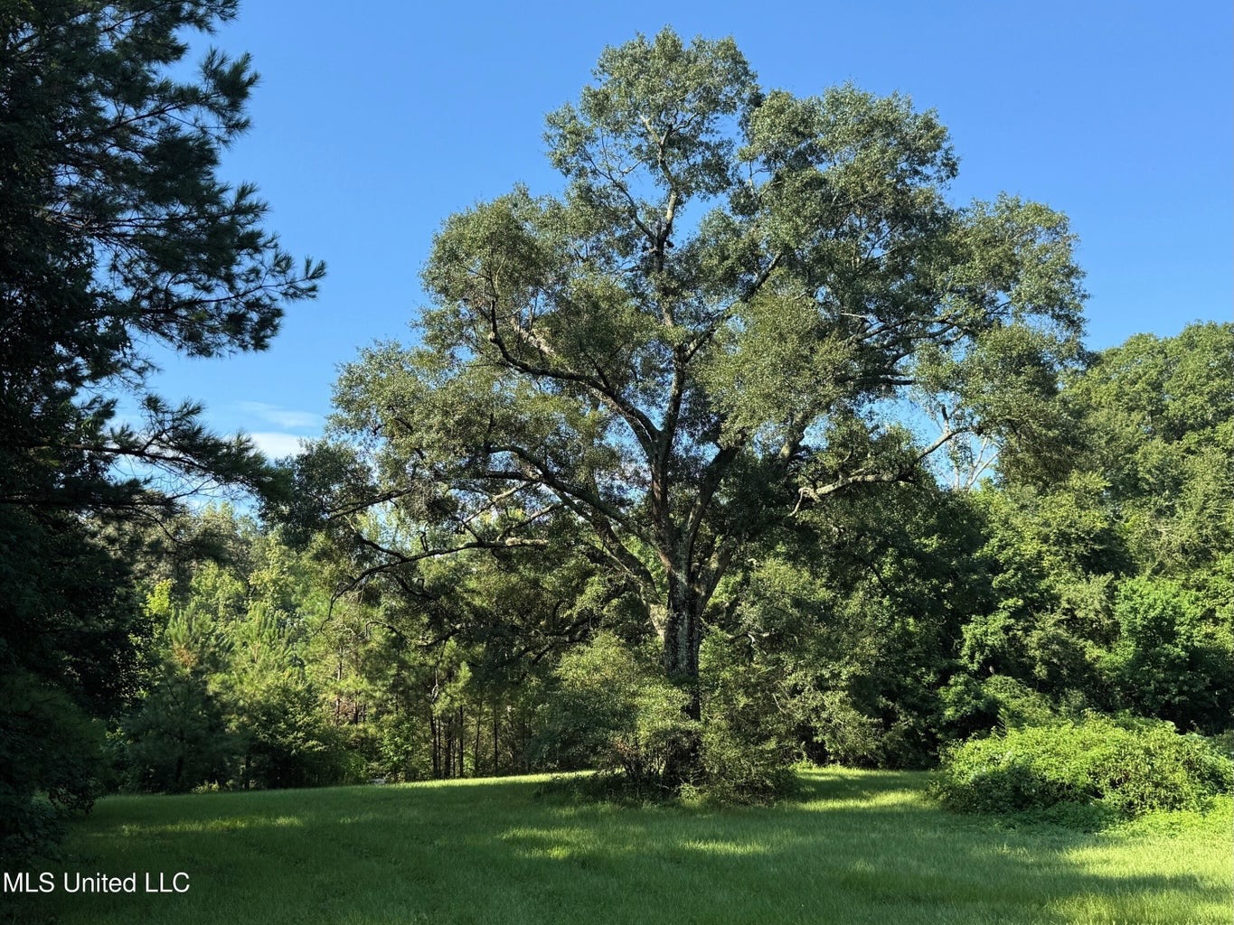 40 Acres with Country Home for Sale in Pike County MS
