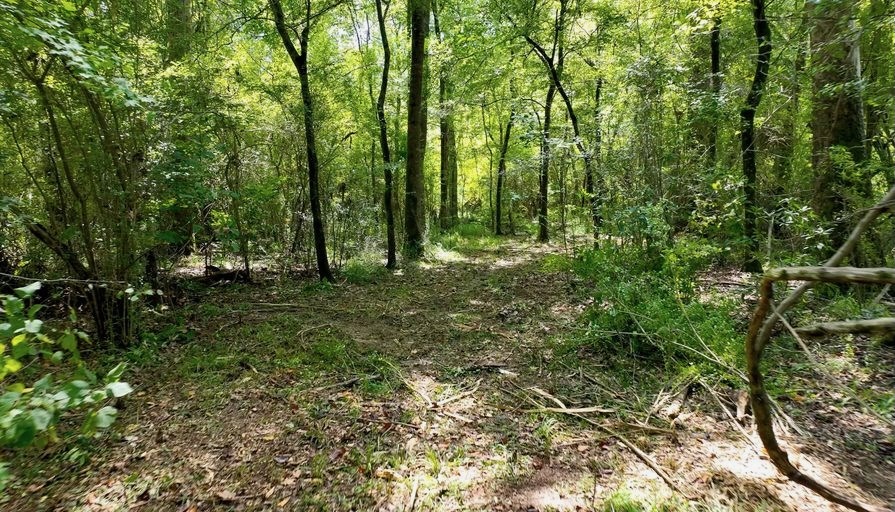 345+- Acres on Bogue Chitto River Summit MS