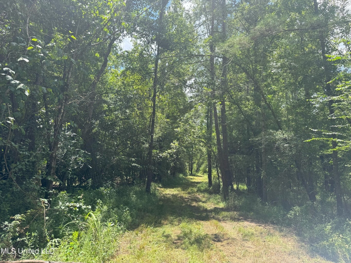 148 Acre Timberland Hunting Homesite Lincoln County, MS