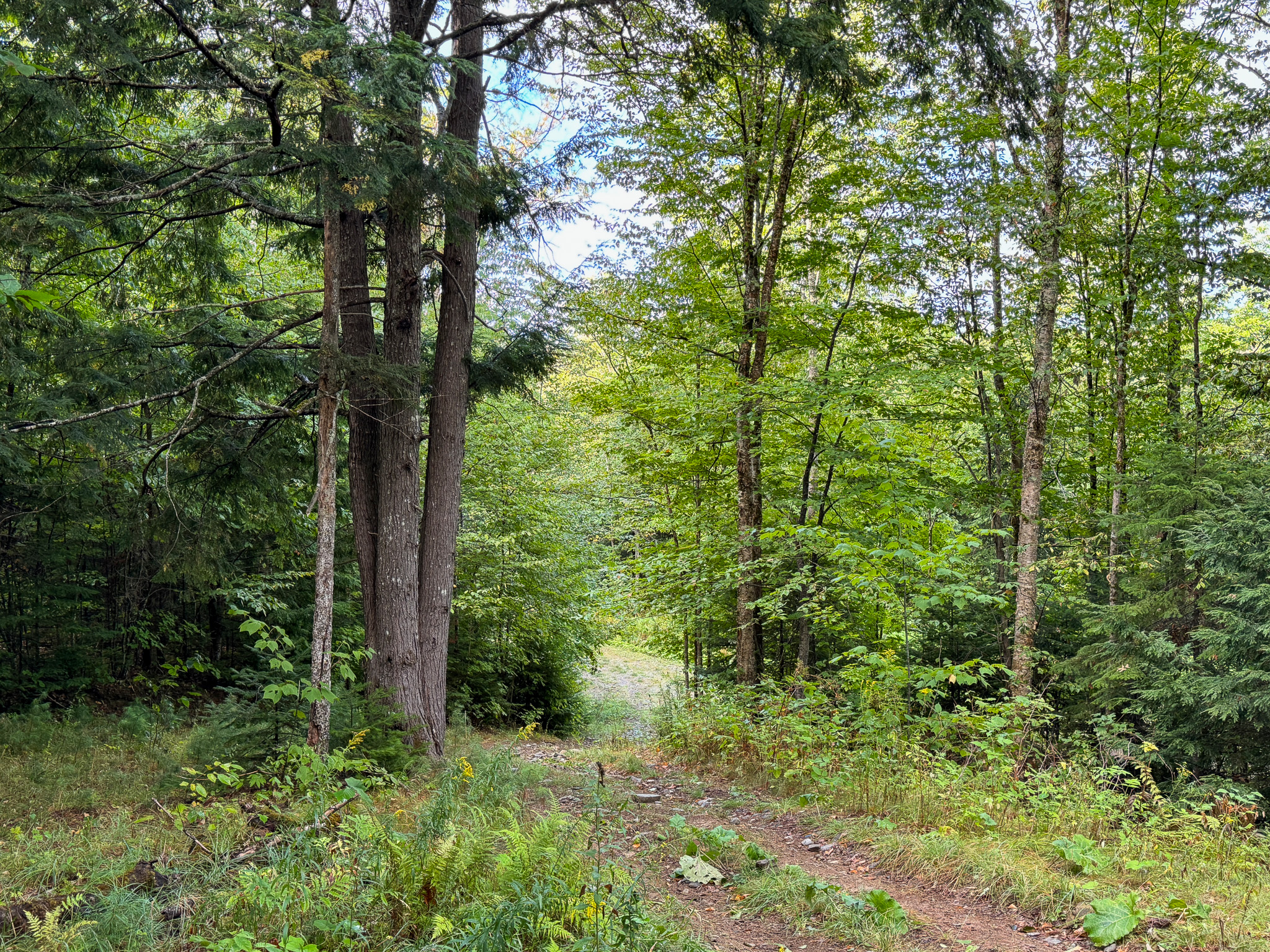 20 Acres with Katahdin Views – Springfield, Maine
