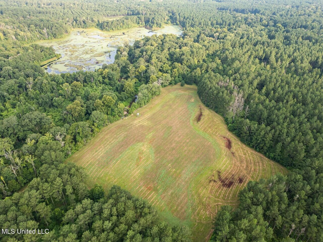 Petit Amite – Luxury Hunting Retreat in Amite County, MS