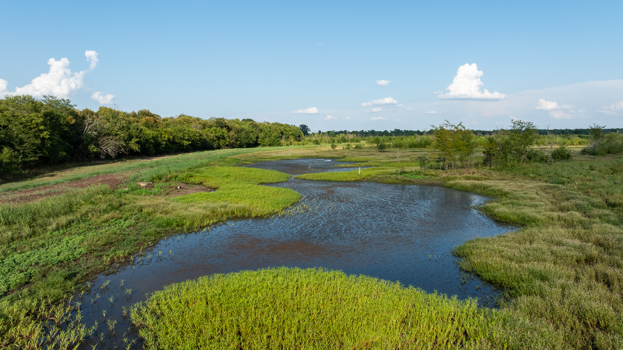 Premier Dekalb Texas Hunting Property with Red River Frontage