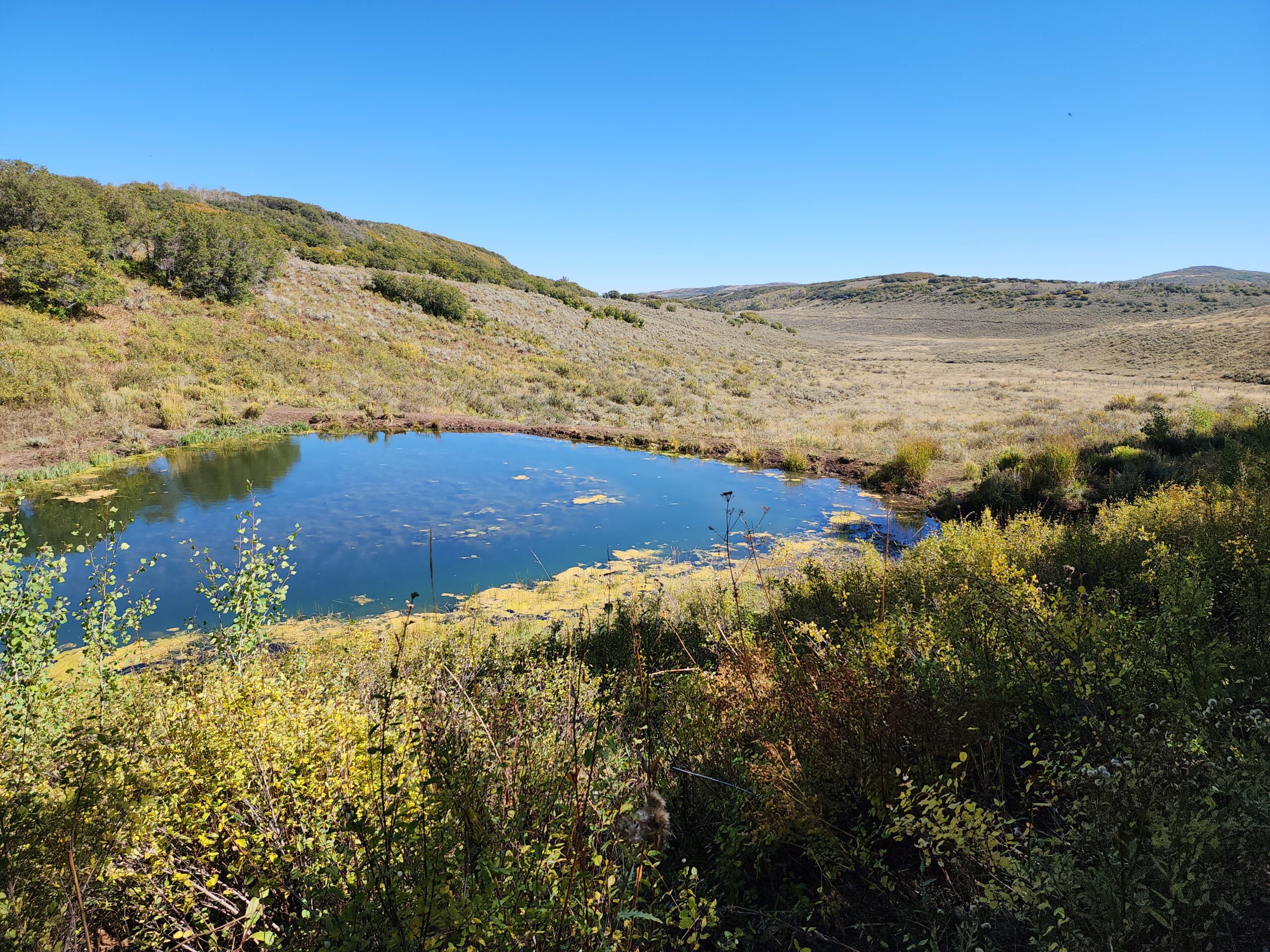 Western Colorado Ranch with Cabins, Ponds, Springs For Sale
