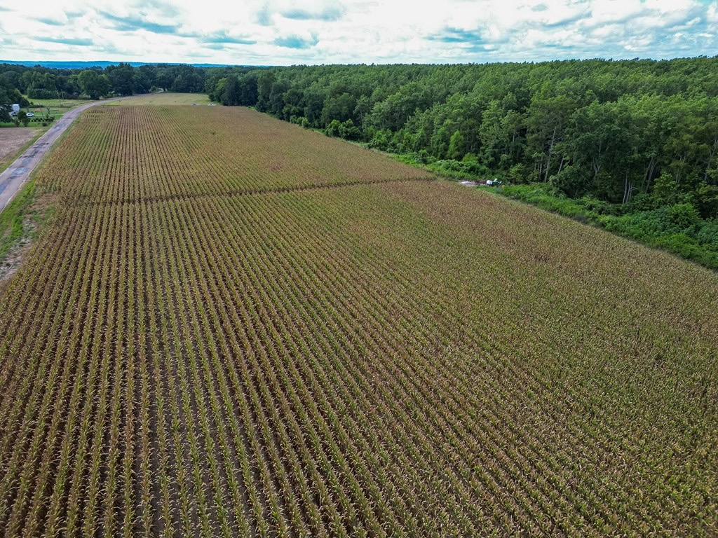 Tchula MS Delta 97 Acres