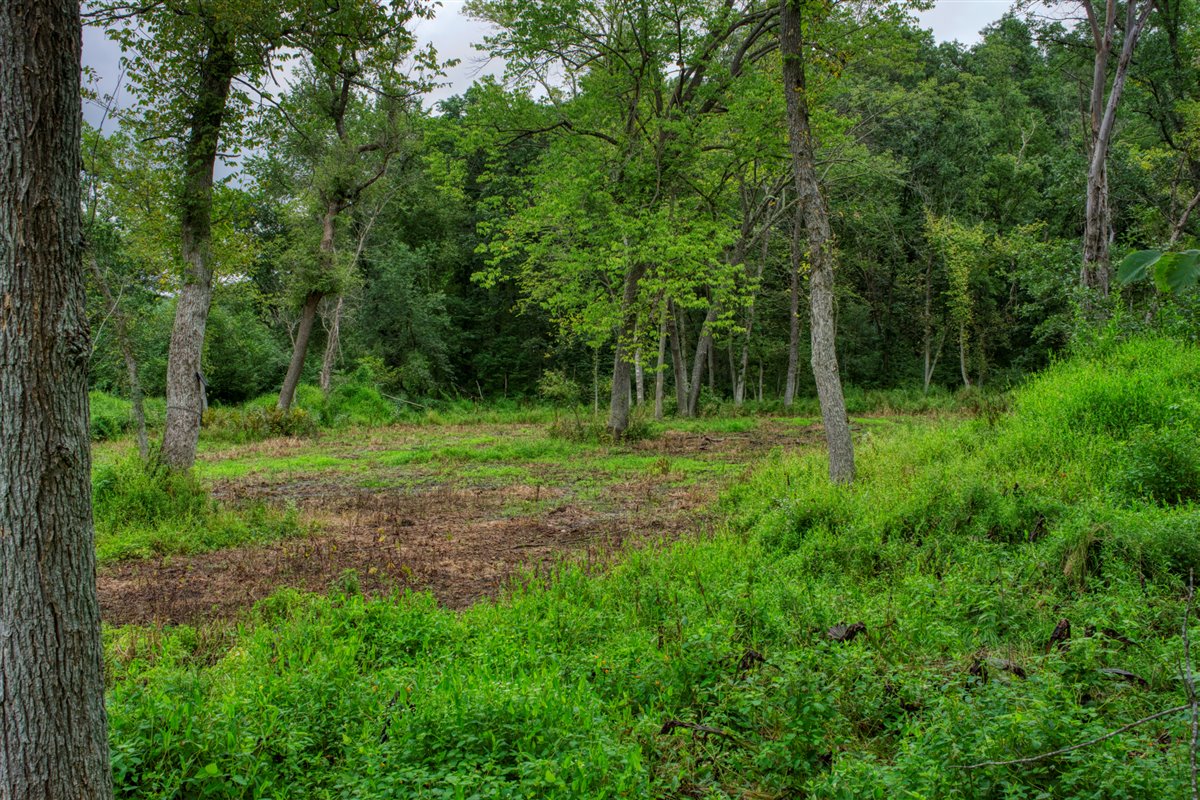 Hunting Property in Trempealeau County, WI