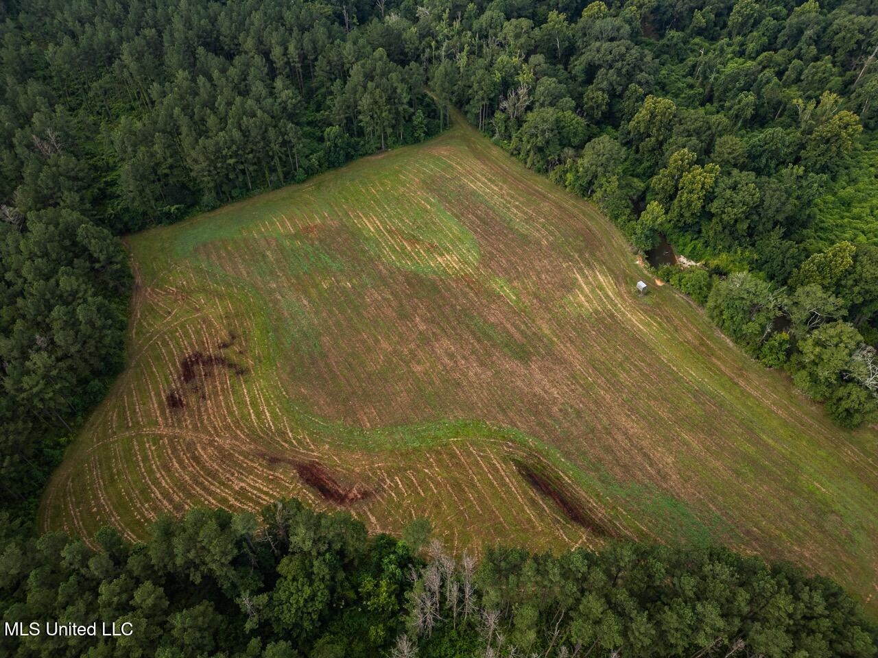 Petit Amite – Luxury Hunting Retreat in Amite County, MS