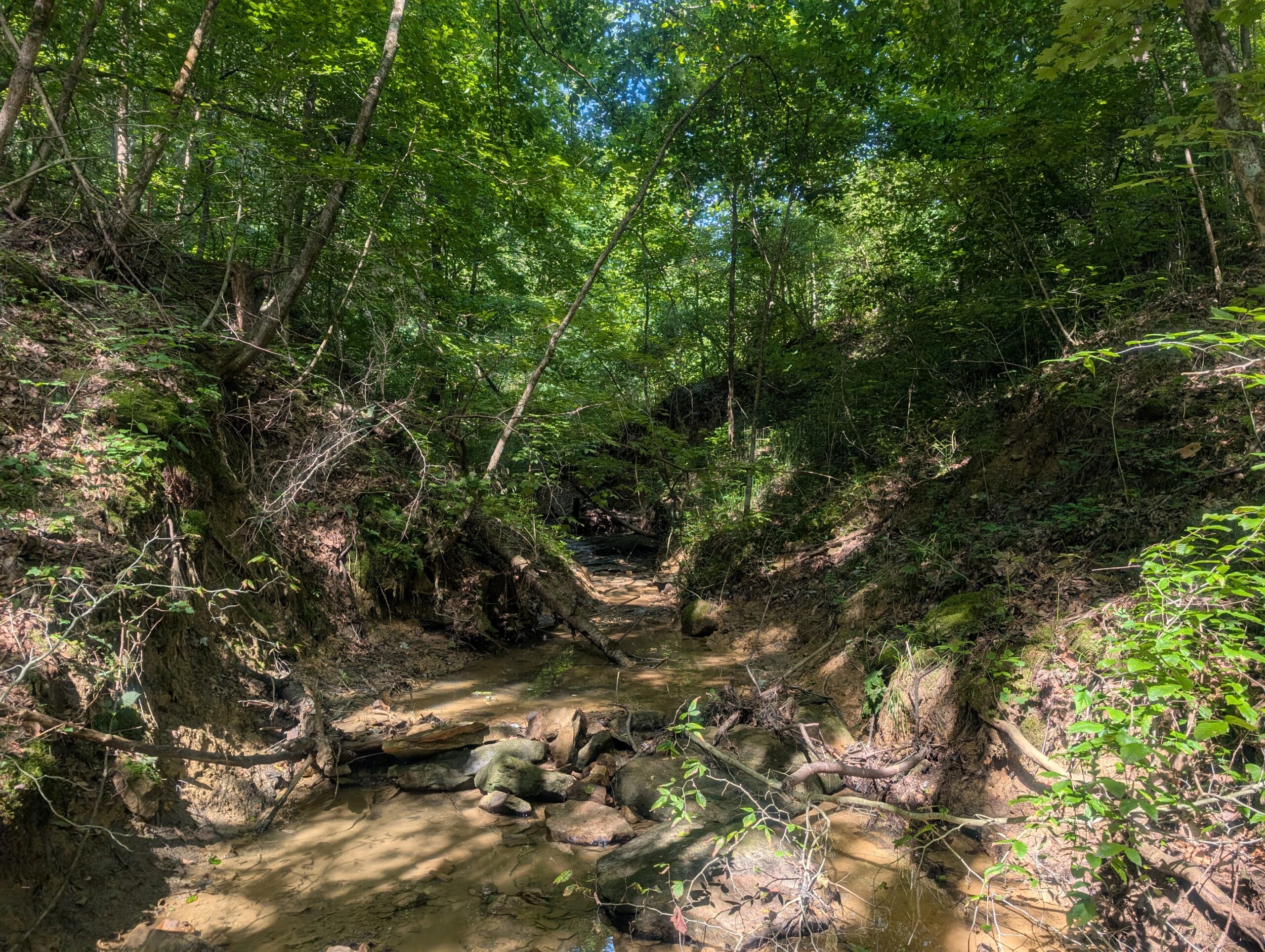 Secluded Central Ohio Hunting and Timber Land