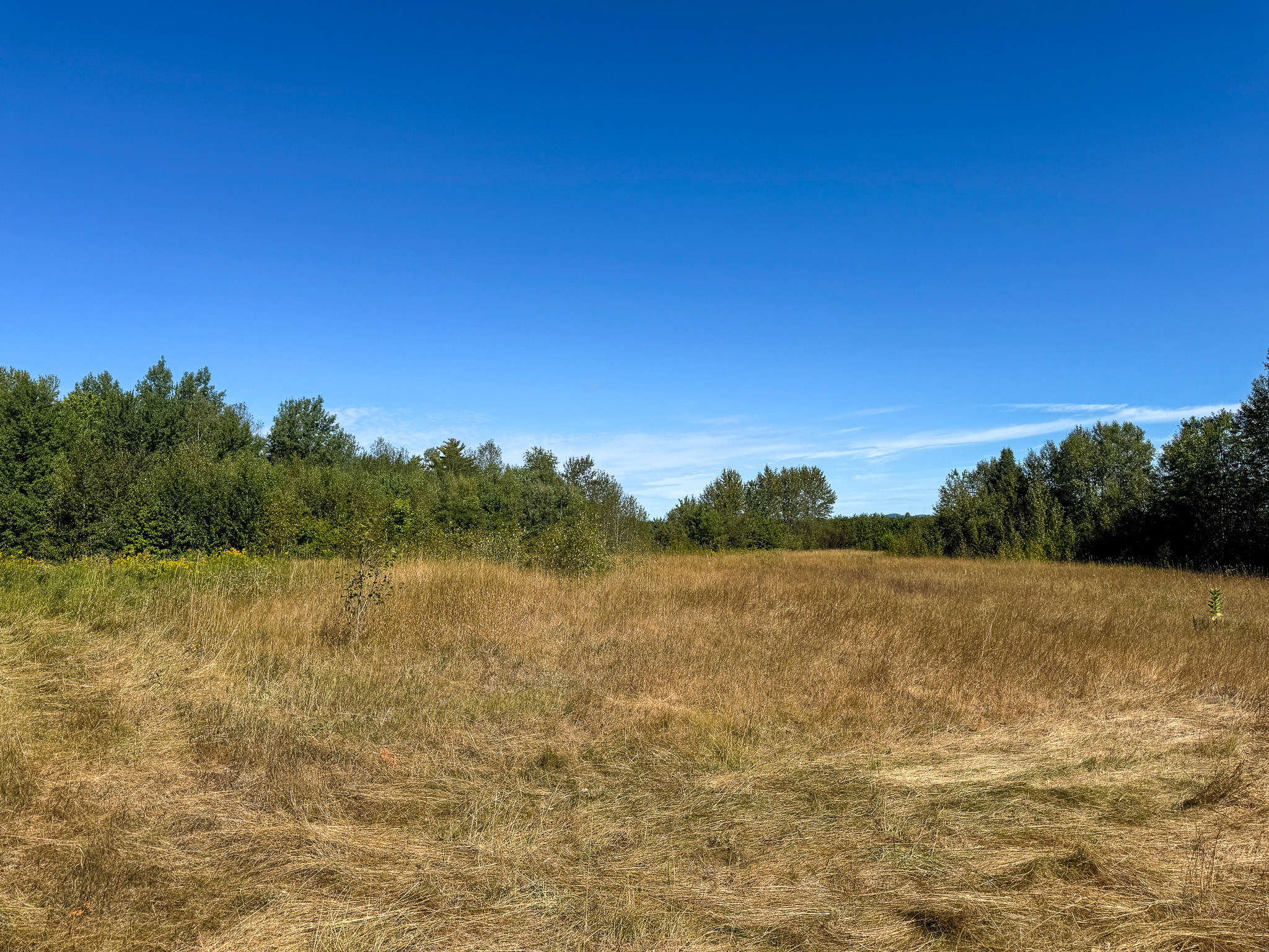 516 Acres Bordering State Wildlife Management Area