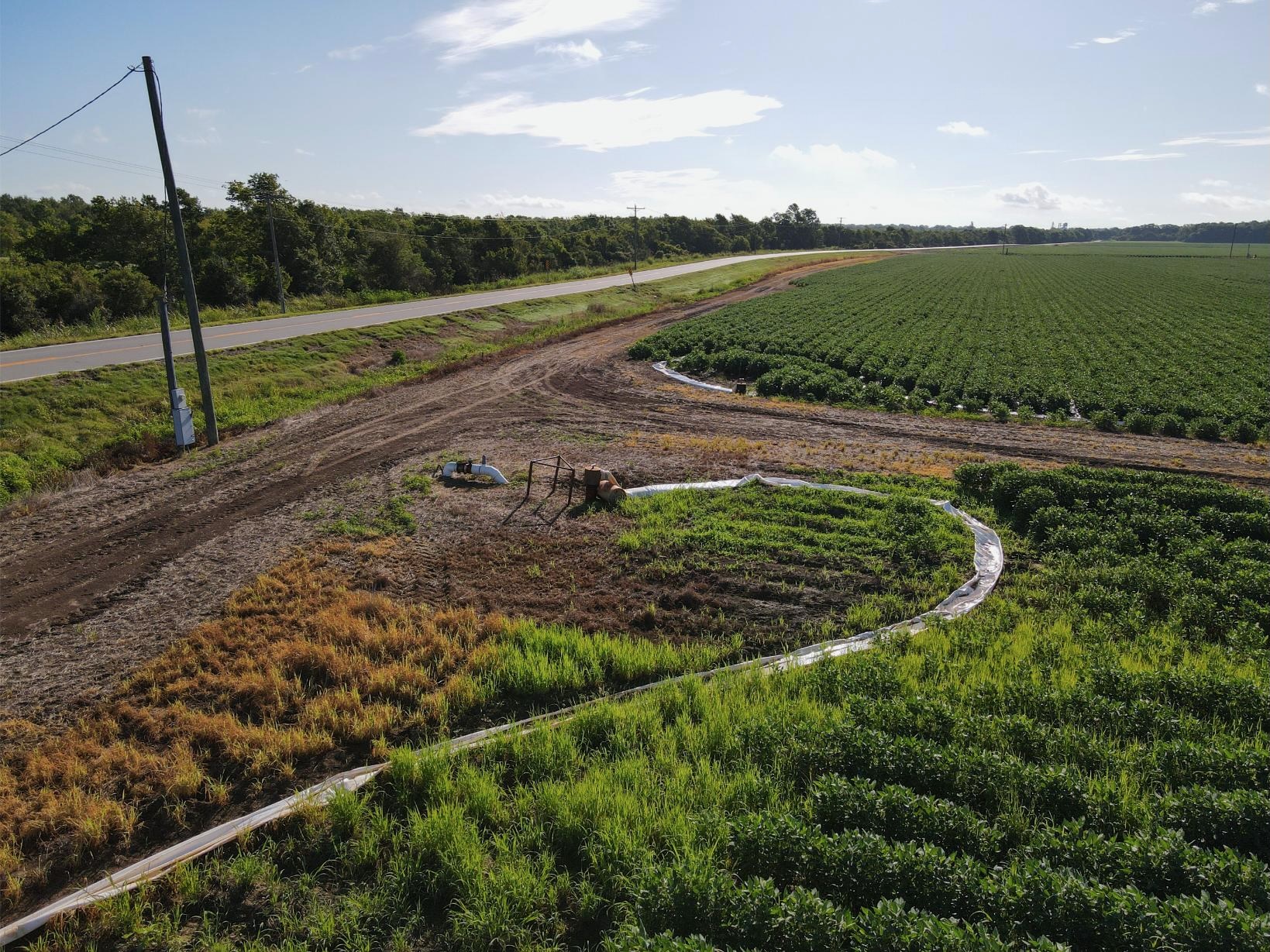 500 +/- Acres Precision Leveled and Irrigated Farmland
